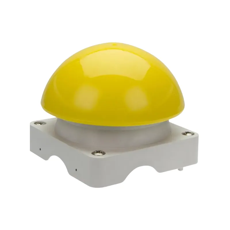 Mushroom caps / bottoms