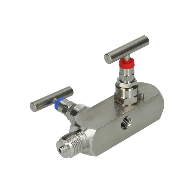 Manifold valves