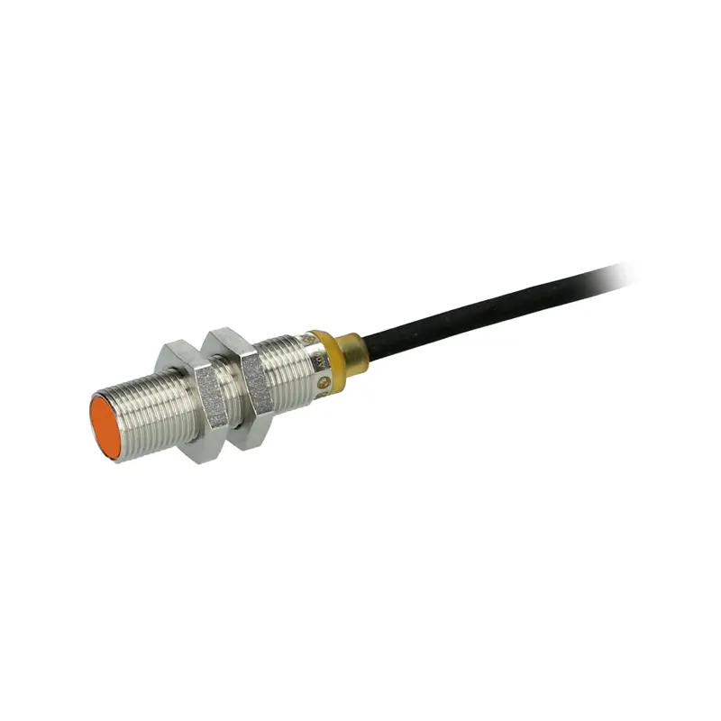 Inductive sensor ifm electronic IFS256 - IFB3004BBPKG/2M/PUR